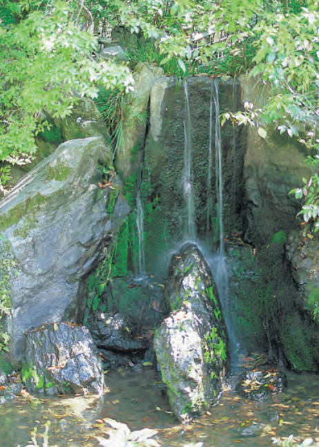 日本庭园艺术 | 传统与现代的完美结合-127