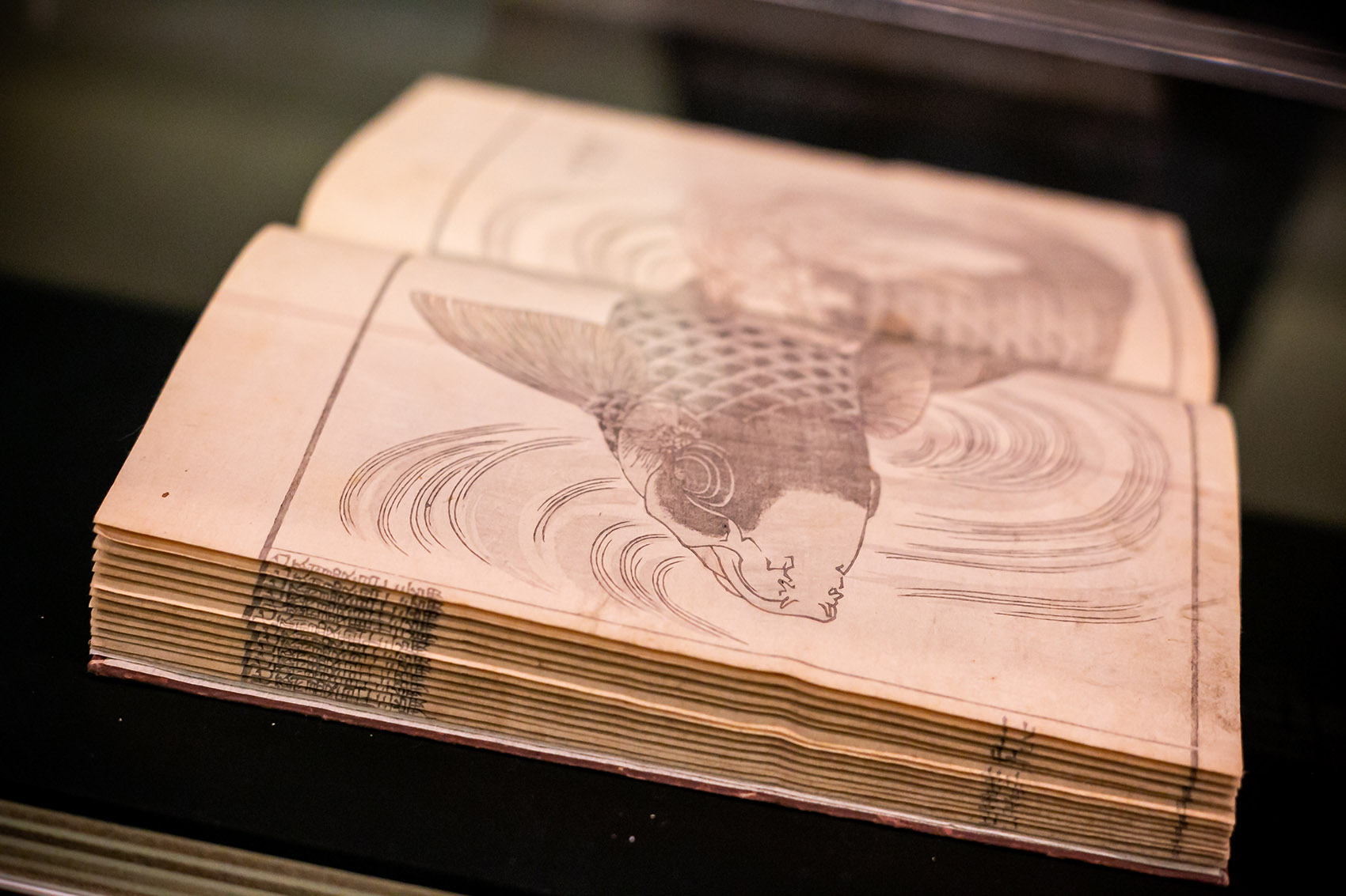 《刺青:皮肤上的故事》展陈设计-45