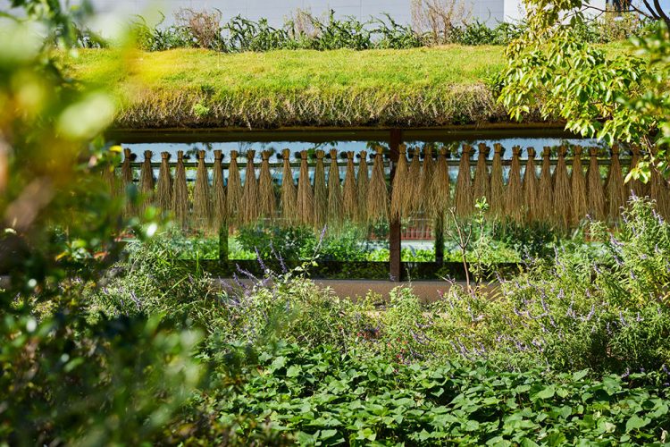 Laboratory Under The Crop Field-11