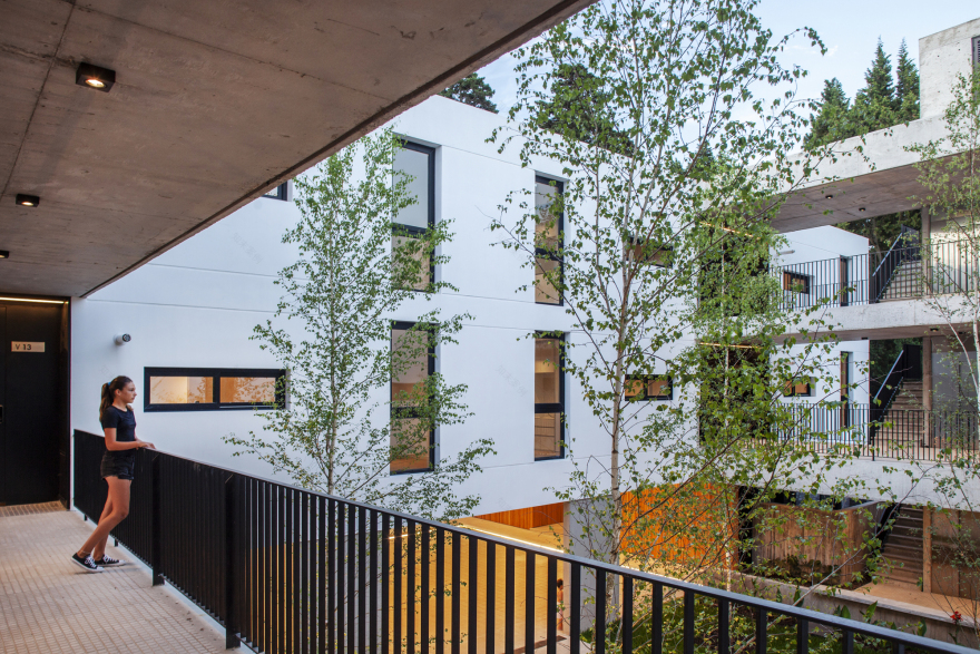 阿尔维亚尔大街住宅丨阿根廷丨Estudio V2 Arquitectos-35