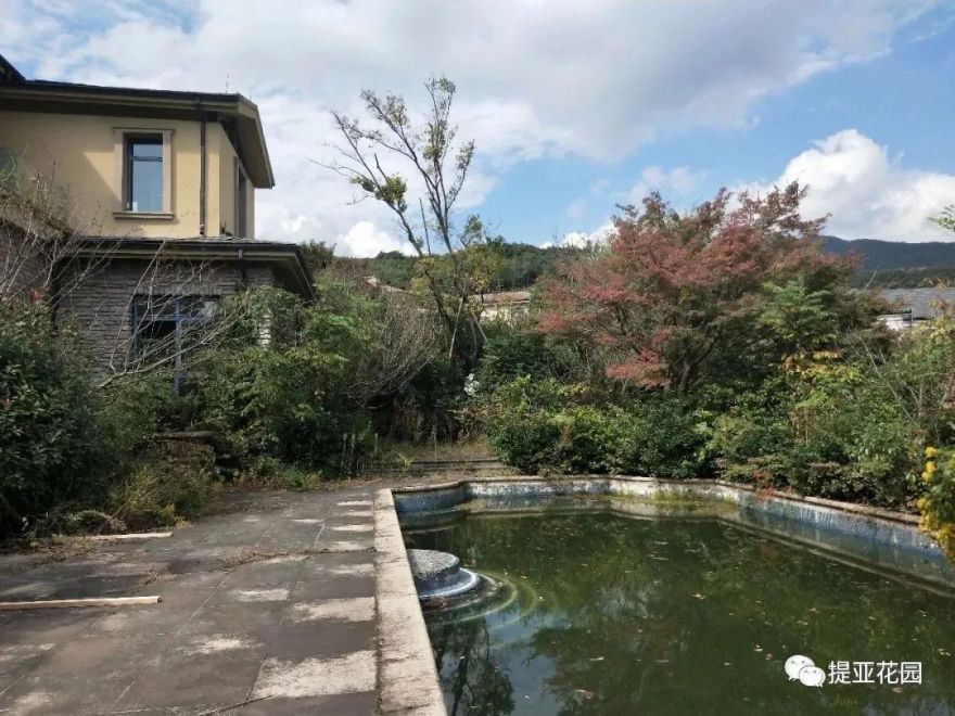 聆湖轩50号别墅花园设计丨中国宁波丨提亚生态科技(浙江)有限公司-55