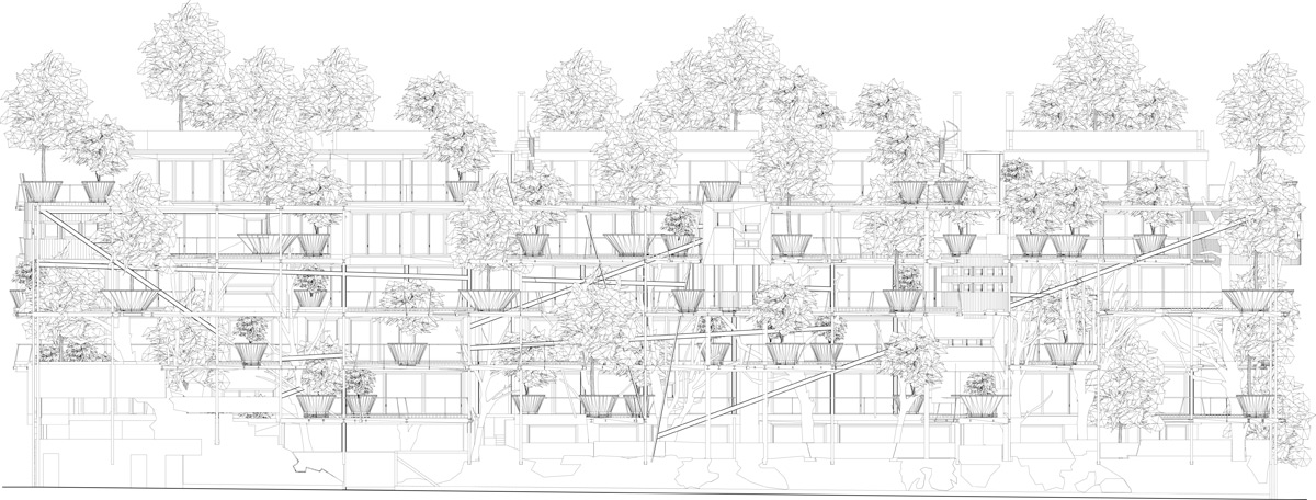 都灵 25 号绿园 · 创新树屋设计丨意大利都灵丨卢西亚诺·皮亚-33