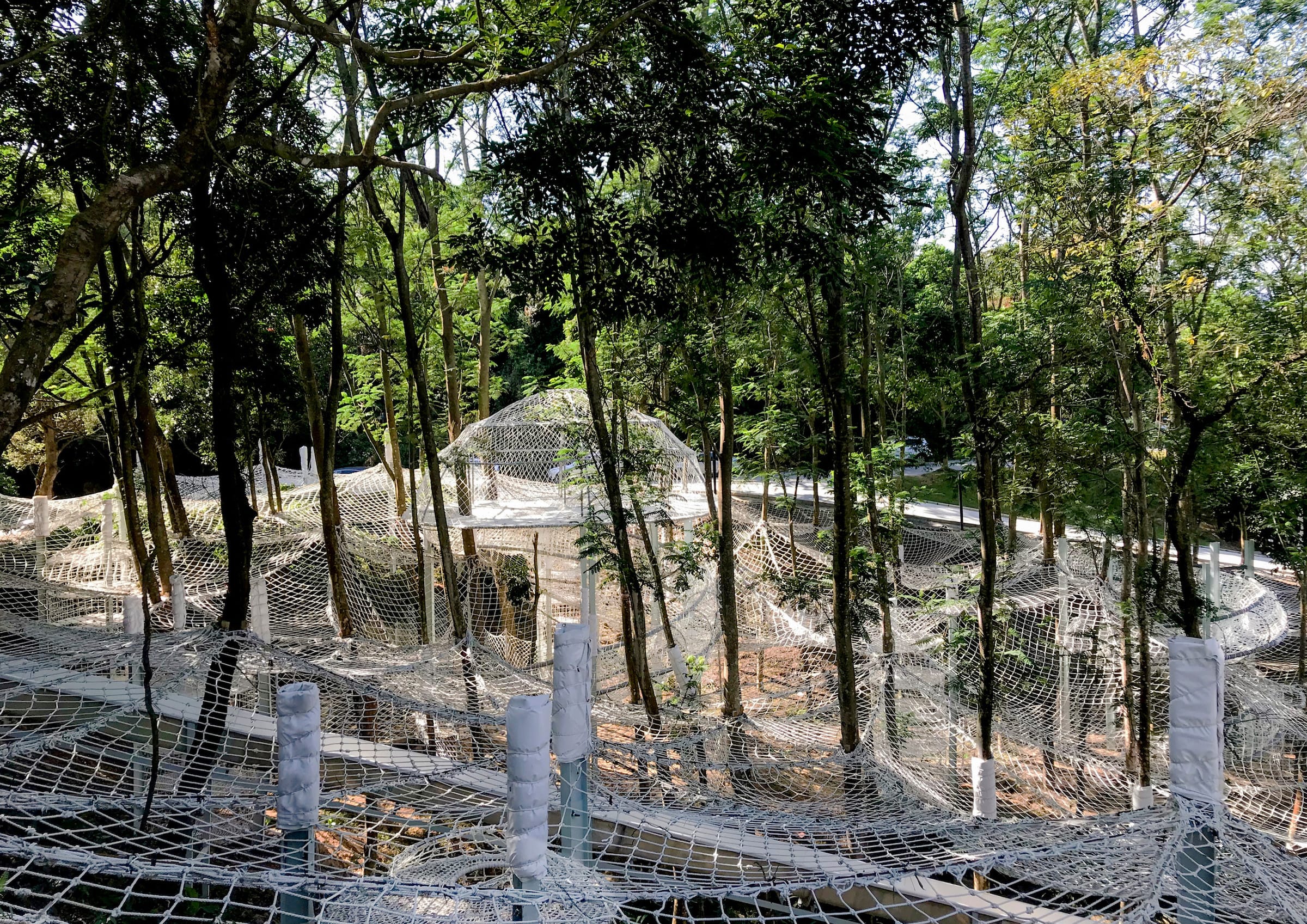 广东罗浮山谷林攀爬乐园-9