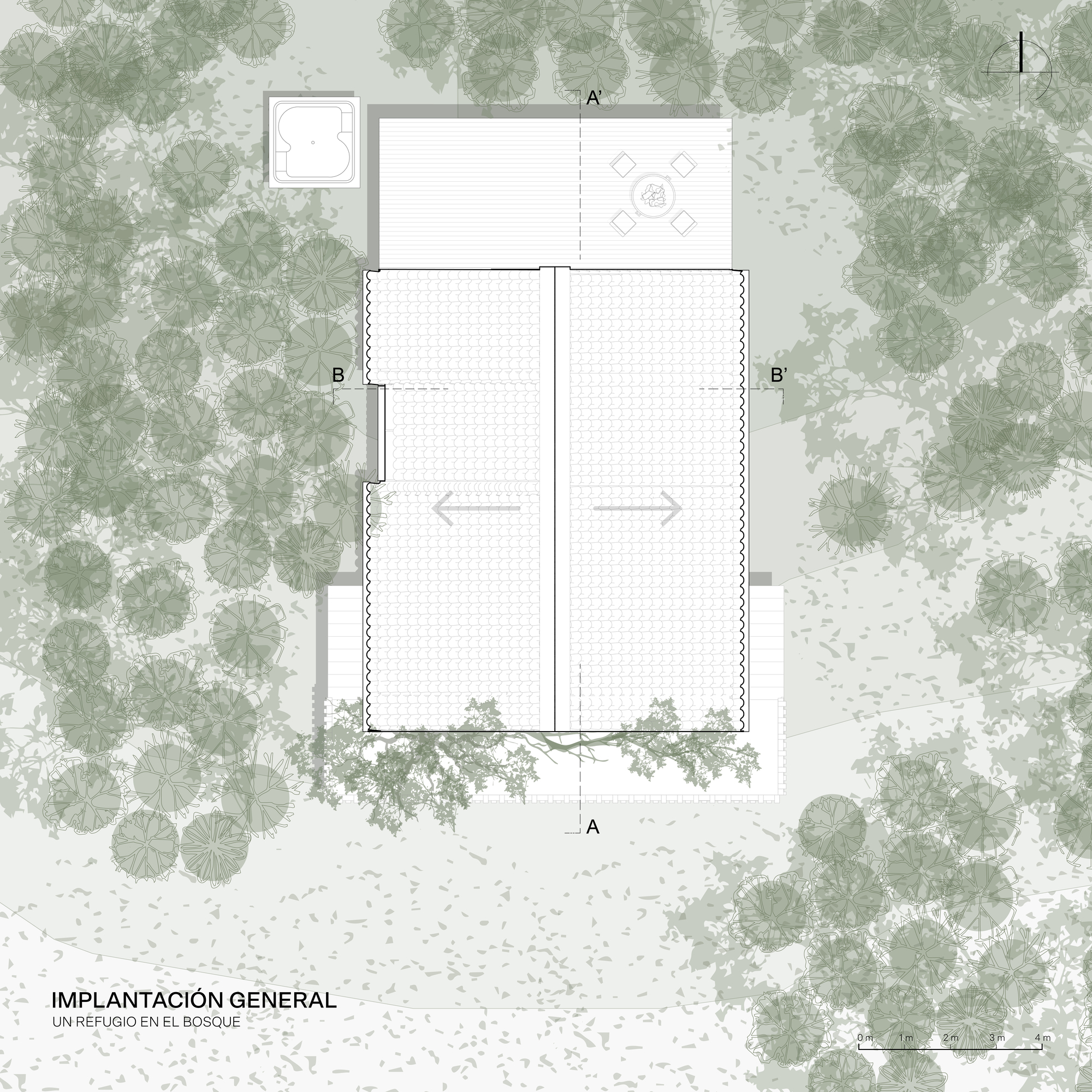 森林庇护所丨厄瓜多尔丨Espacio & Luz Arquitectos-30