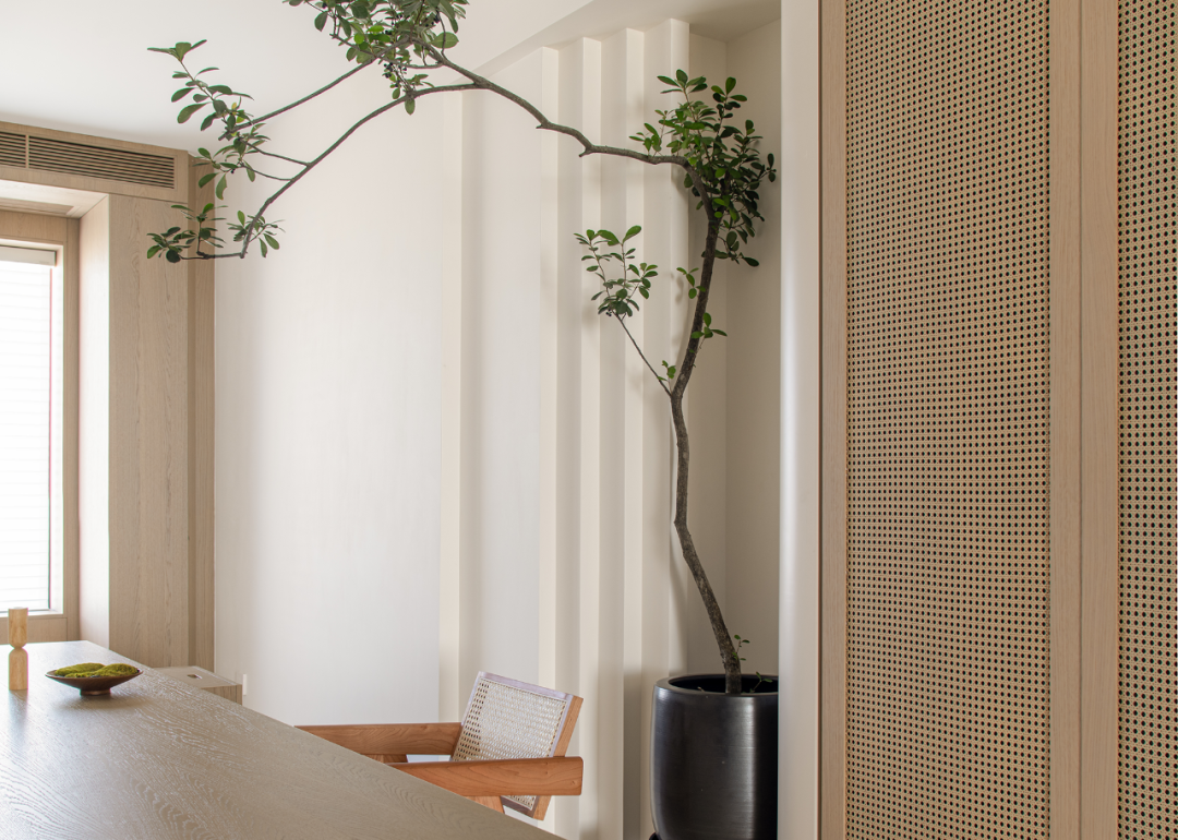 新湖春晓·自然留白丨王绍桔-51