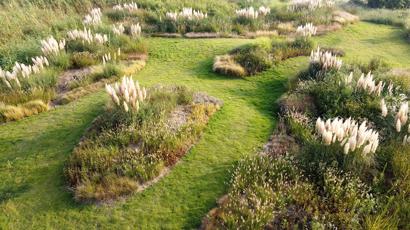 多岛海野草公园丨中国日照丨孔祥伟工作室-10