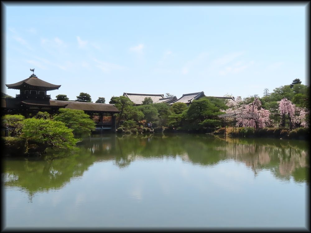 平安神宮の桜相关景观丨日本京都-18