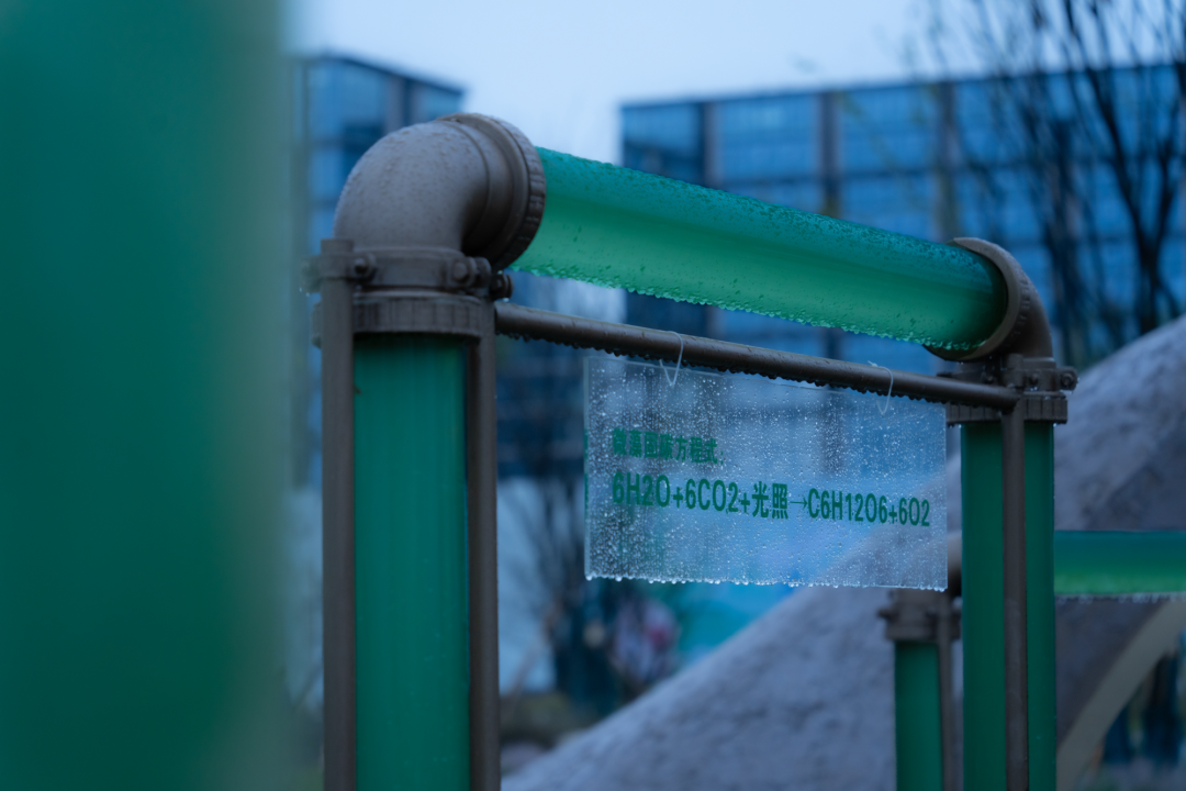 微藻实验花园：景观设计中的绿色新篇章-40