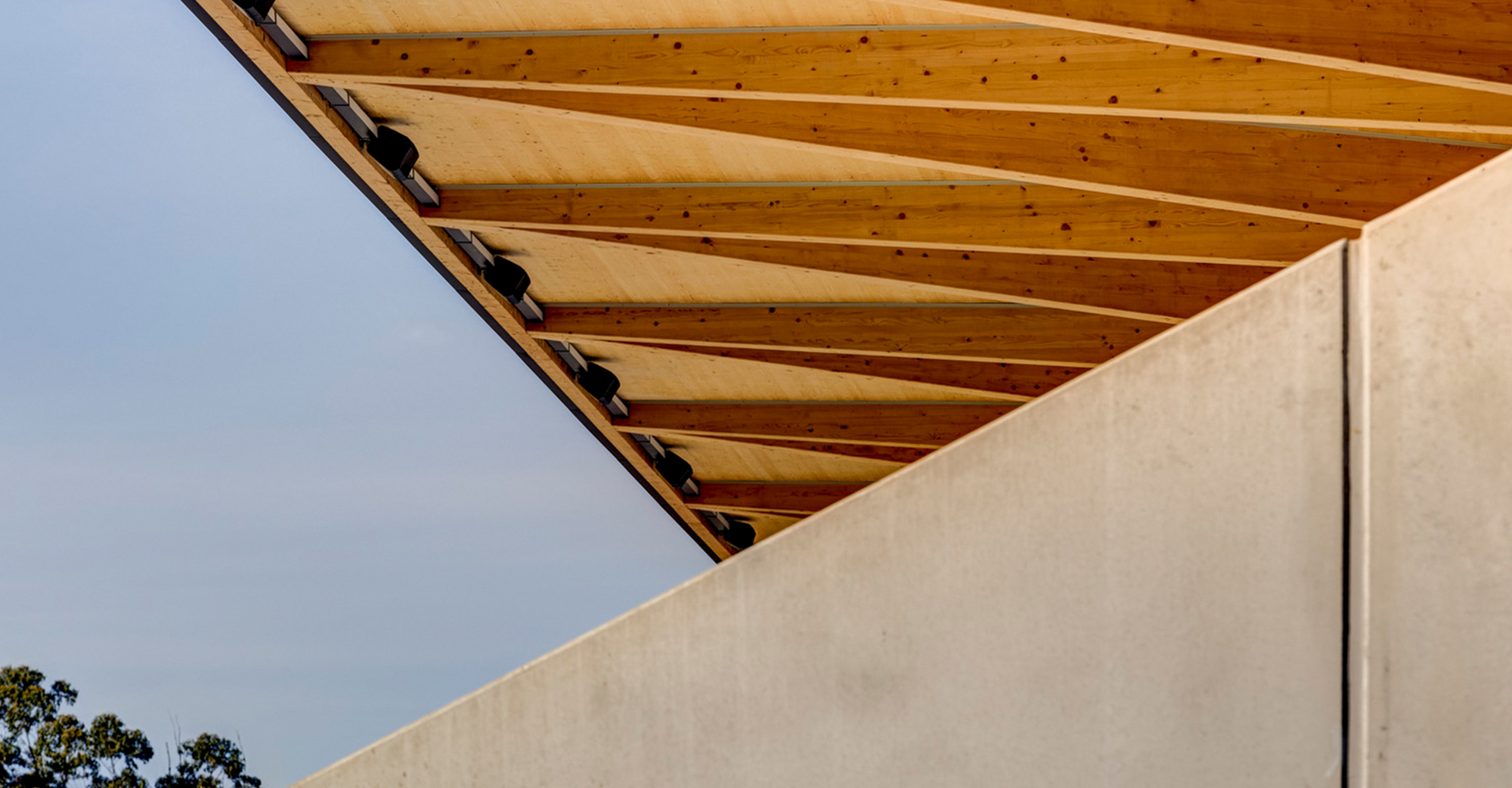 埃里克·特威代尔体育场丨澳大利亚丨dwp-34