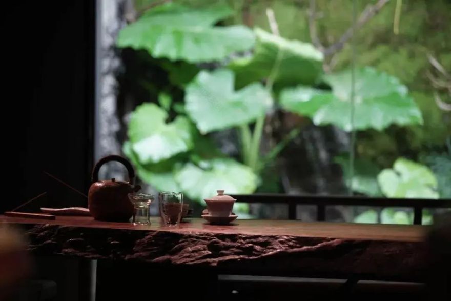 《迴響民宿》——與自然共生,找回心中的寧謐-54