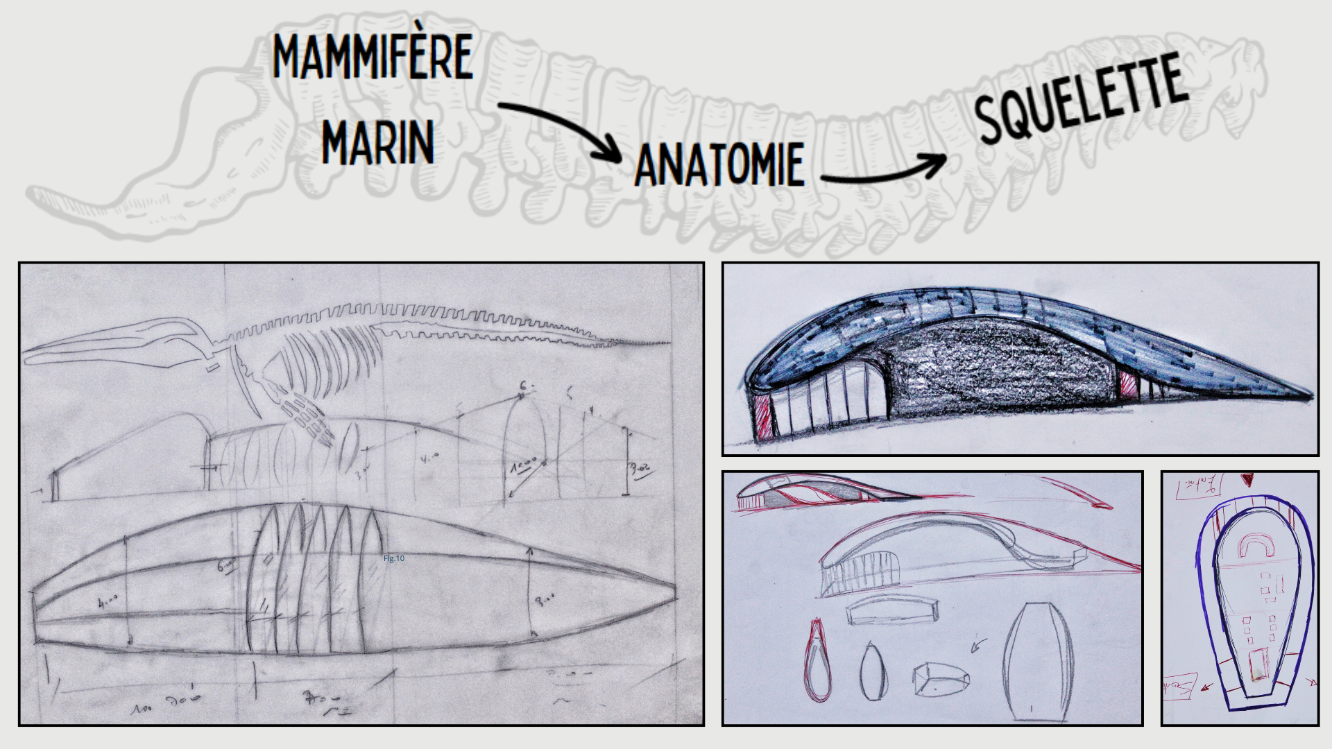 Musée océanographique-1