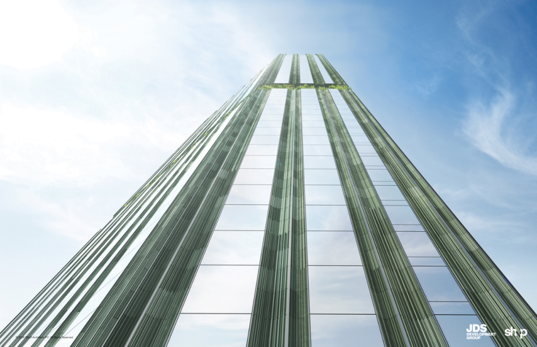 纽约“竹海”大楼丨美国曼哈顿丨SHoP 建筑事务所,JDS 公司-5