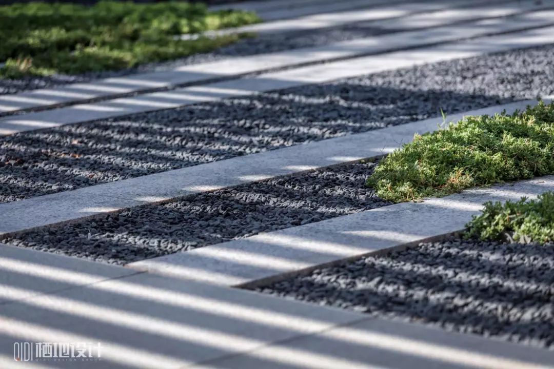 春风十里,赏鉴各地居住区春日美景-62