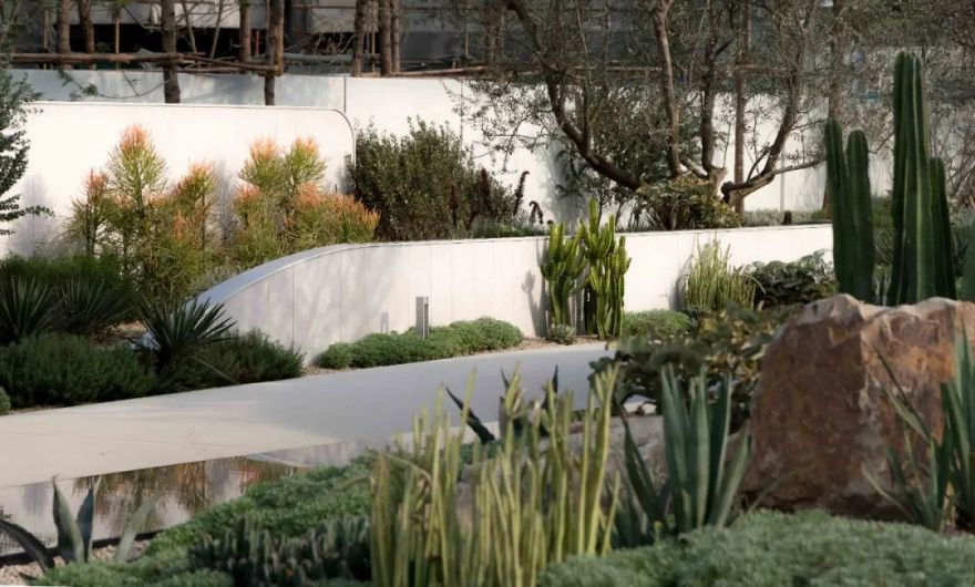 未来曲度 | 麓湖样板岛的新实验场-45