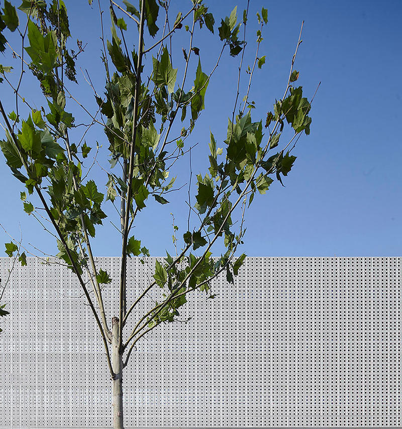 绿色三星达标建筑 天津滨海小外中学部-3