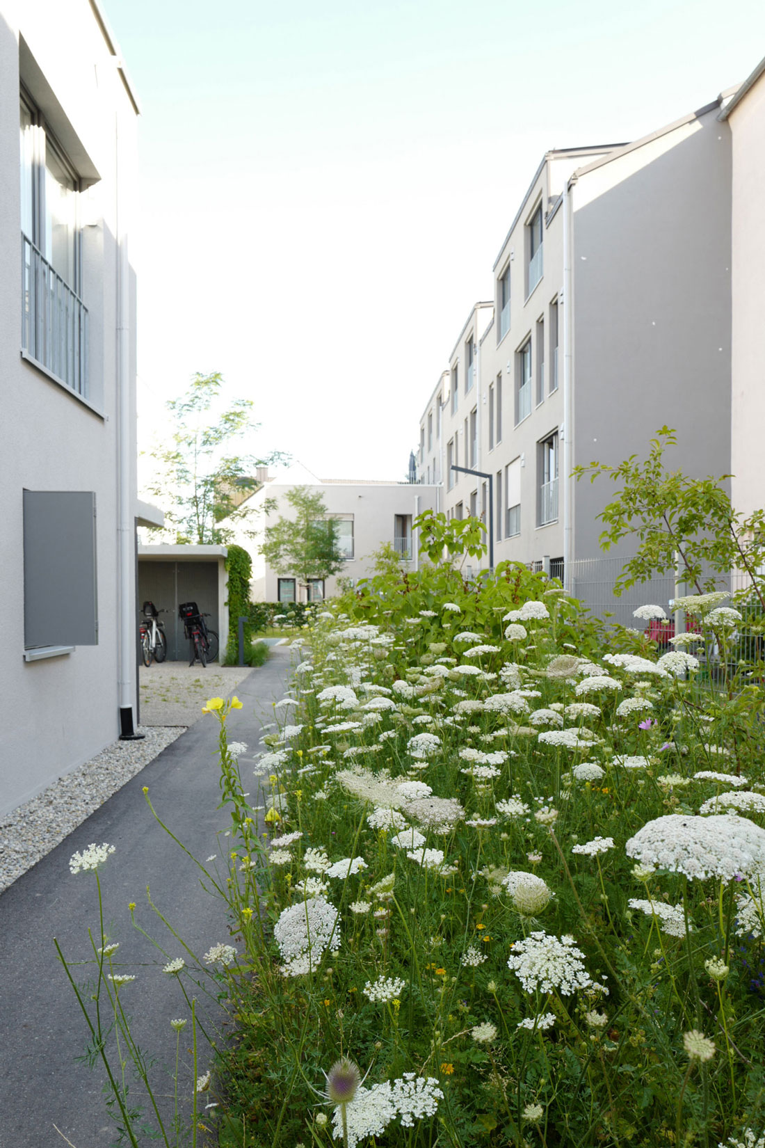 德国因戈尔施塔特“Hinteranger”社区绿化设计-10