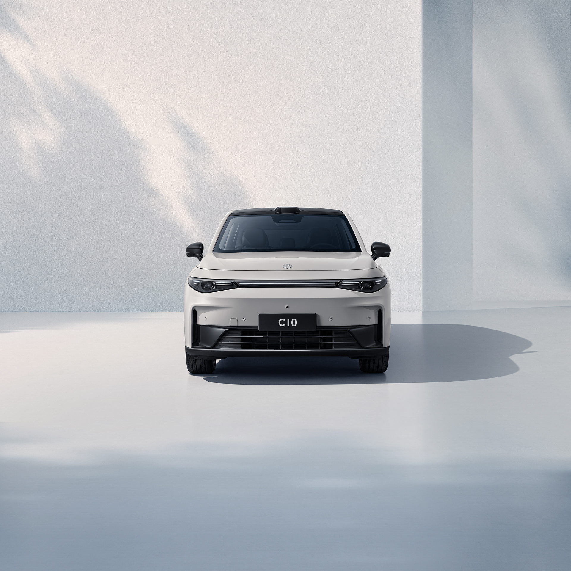 你提供的THE PERFECT LIEFE可能有误，推测正确的词是THE PERFECT LIFE，对应的翻译是：零跑C10，完美生活 丨BITONE-15