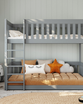 Natural Forms, Gentle Light