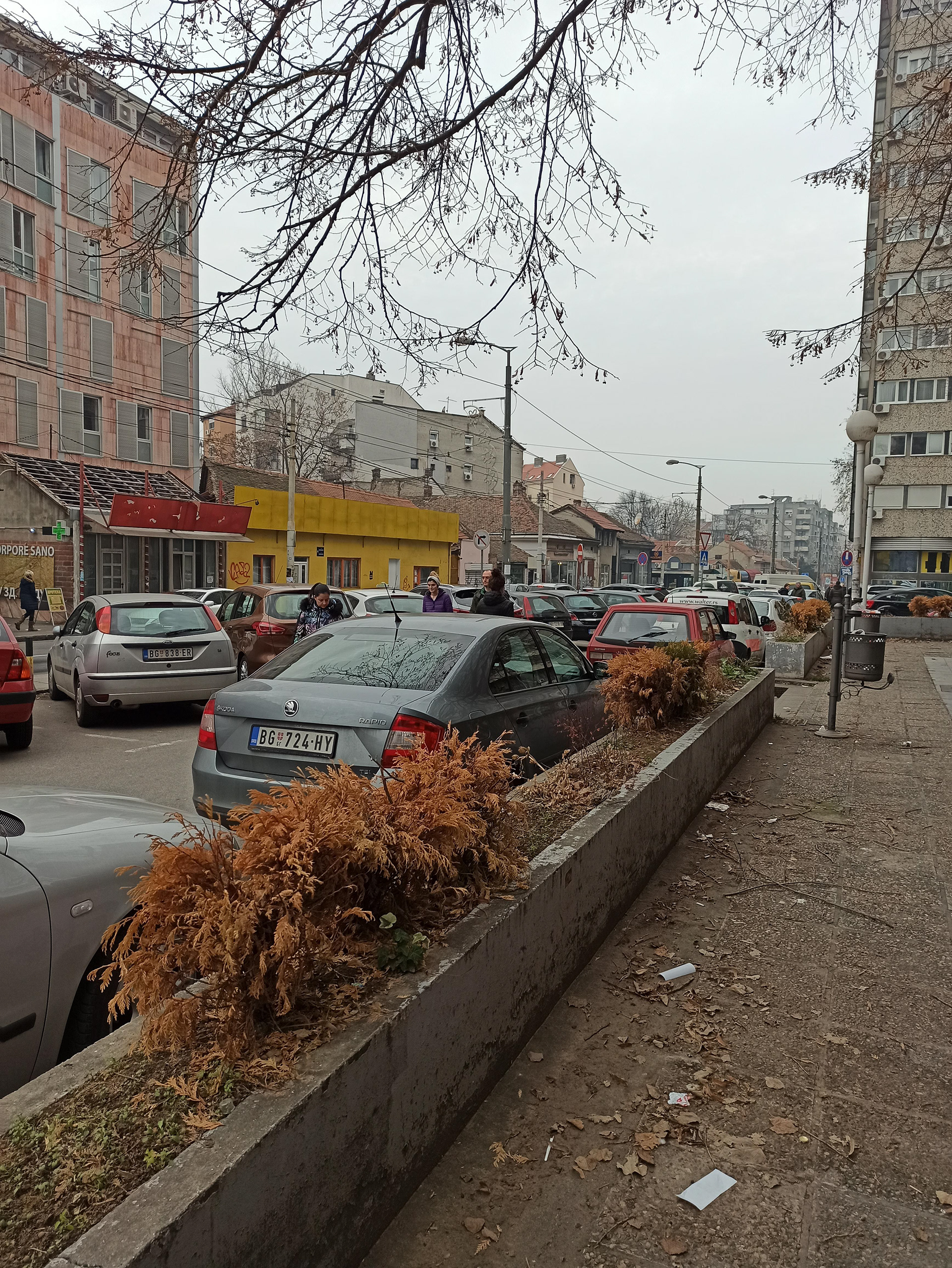 Makenzy Street 重建丨贝尔格莱德-5