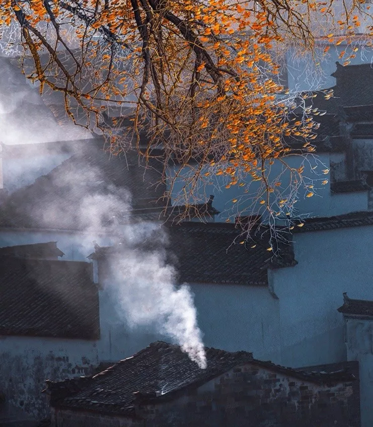 归心·乡愁 · 东坡记忆中的宜兴早春丨誰最中國-58