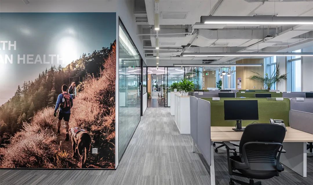 上海 Illumina 总部办公室设计丨中国上海丨M Moser Associates-25