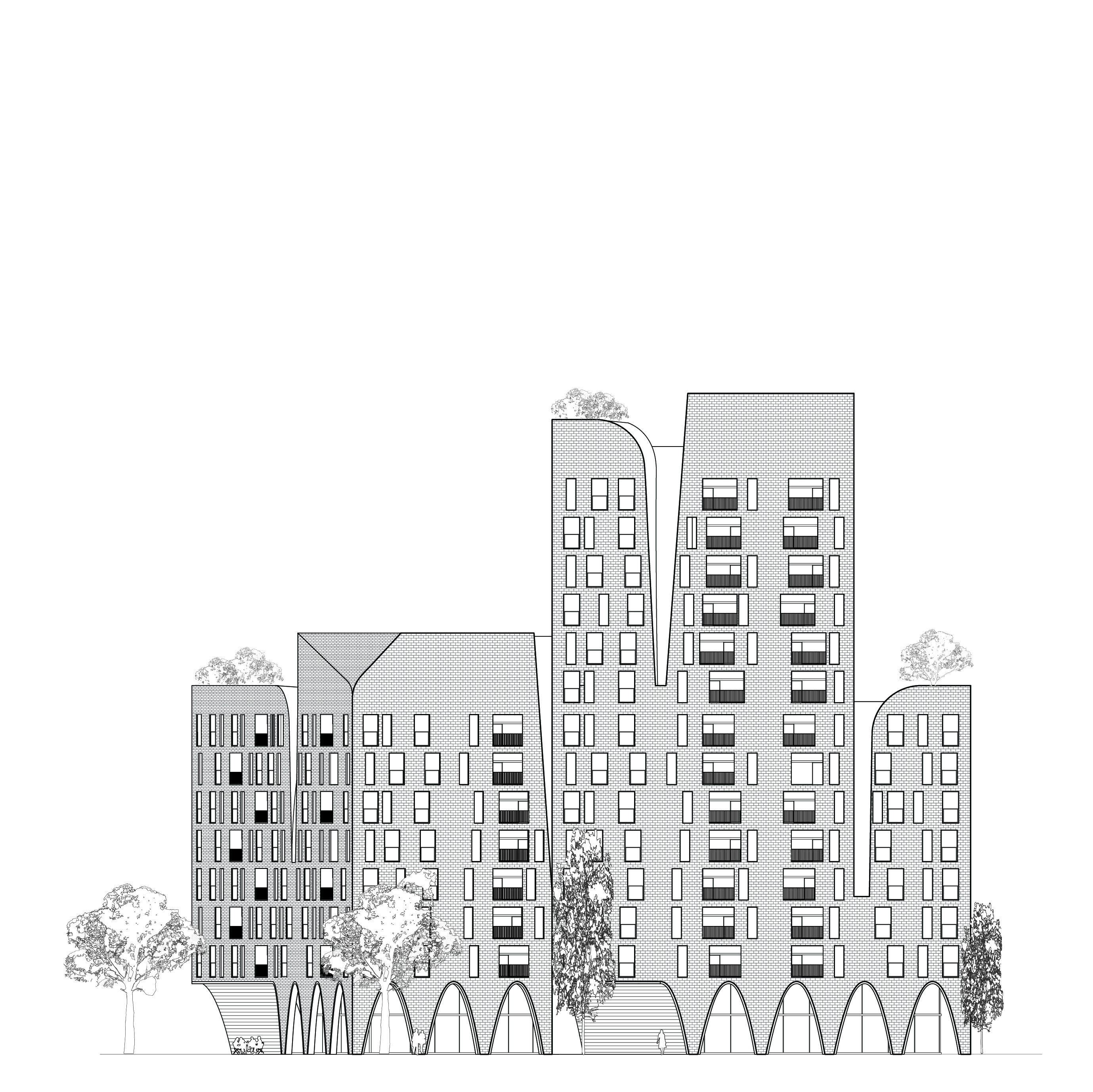 丨新西兰奥克兰-11