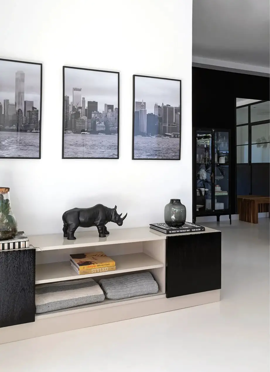 阿根廷 120 平米现代黑白混搭公寓设计-4