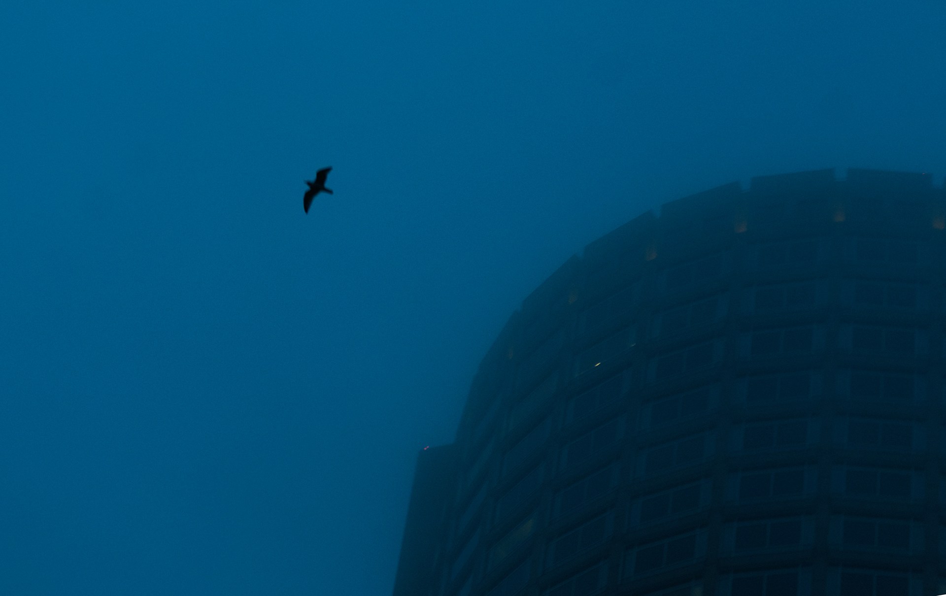 波士顿巨人队丨美国波士顿-7