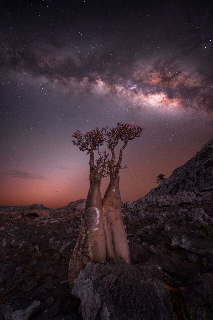 Конкурс фотографии Milky Way Photographer of the Year: звездное небо-2