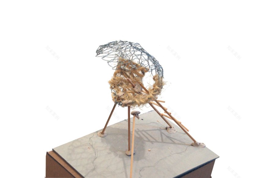 Camden Art Centre花园自然步道项目丨英国伦敦丨Erect Architecture-17