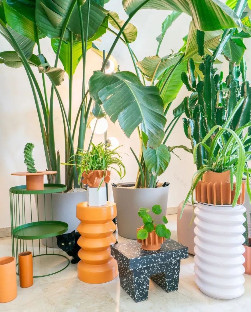 马卡龙色系的家丨法国丨Judith-16