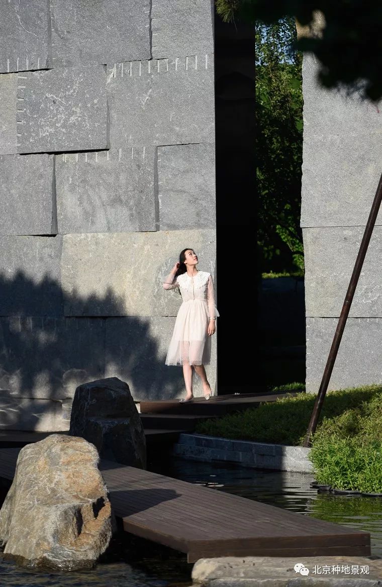 芝麻开门 一池藏三 | 合景·天汇广场示范区-62