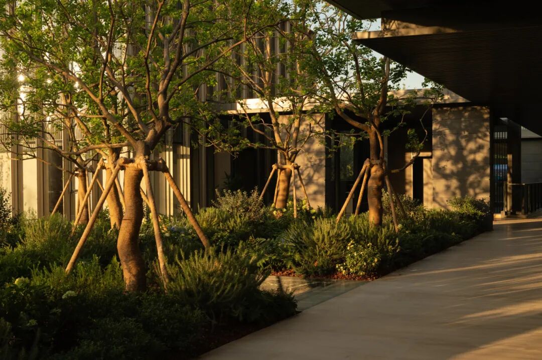 星合·晋墅丨中国苏州-37