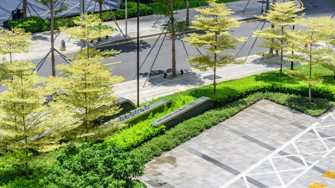 与城市共生，与自然共舞|前海中国国有资本风投大厦-8