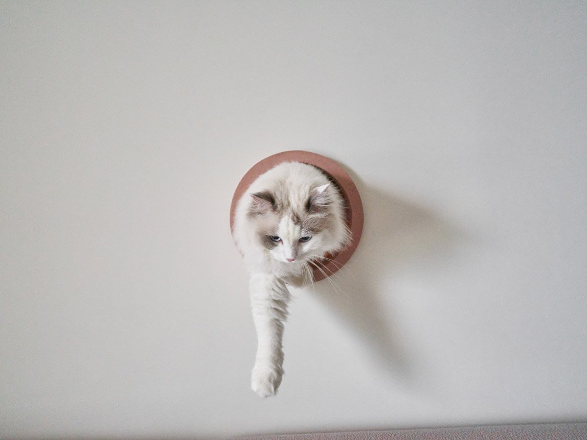 「鏡頭裡外的設計觀察」07 ㄧ 獨家不獨家？ — Hey!Cheese-6