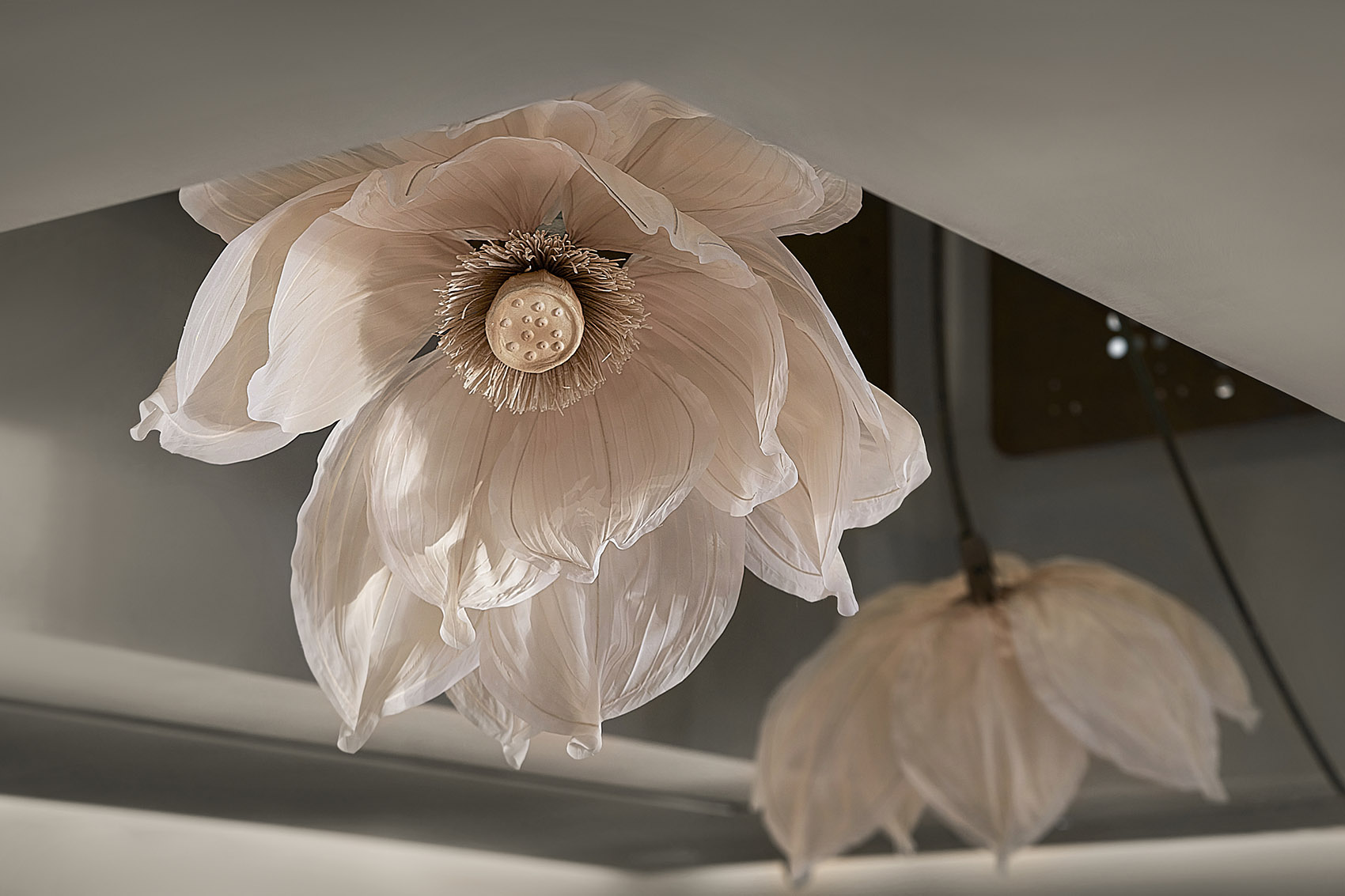 Tomacado 花厨丨中国杭州丨梁筑设计事务所-67