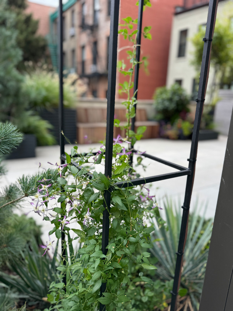 Carroll Gardens Rooftop Terrace-15