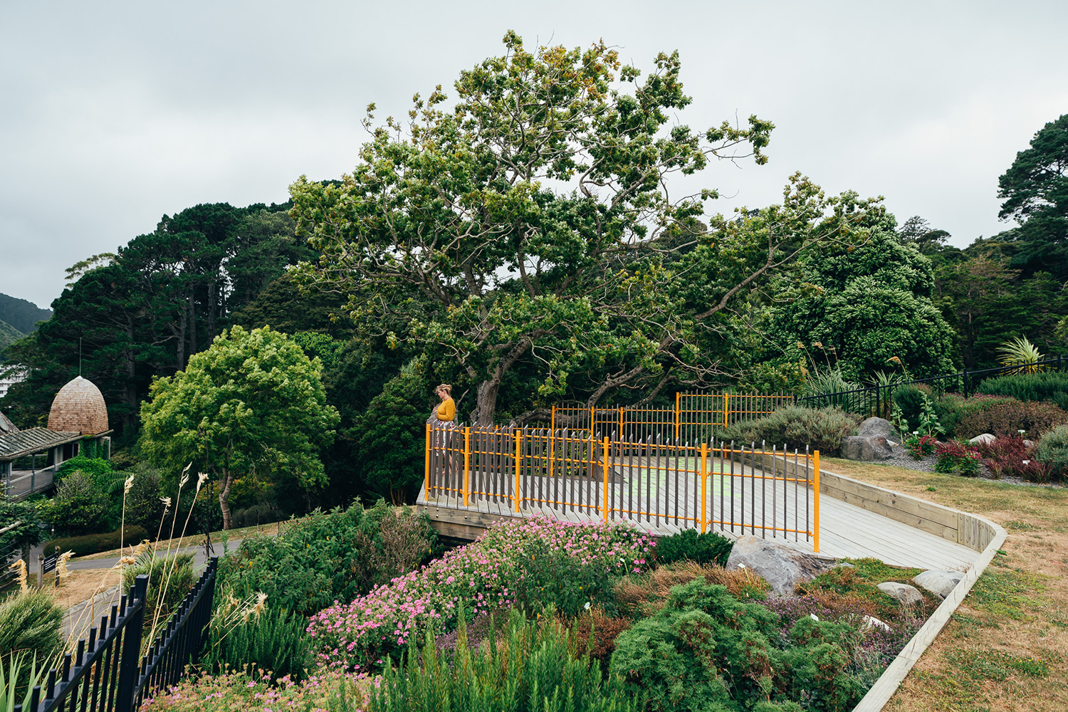 惠灵顿植物园的探索花园——儿童与自然的亲密接触-3
