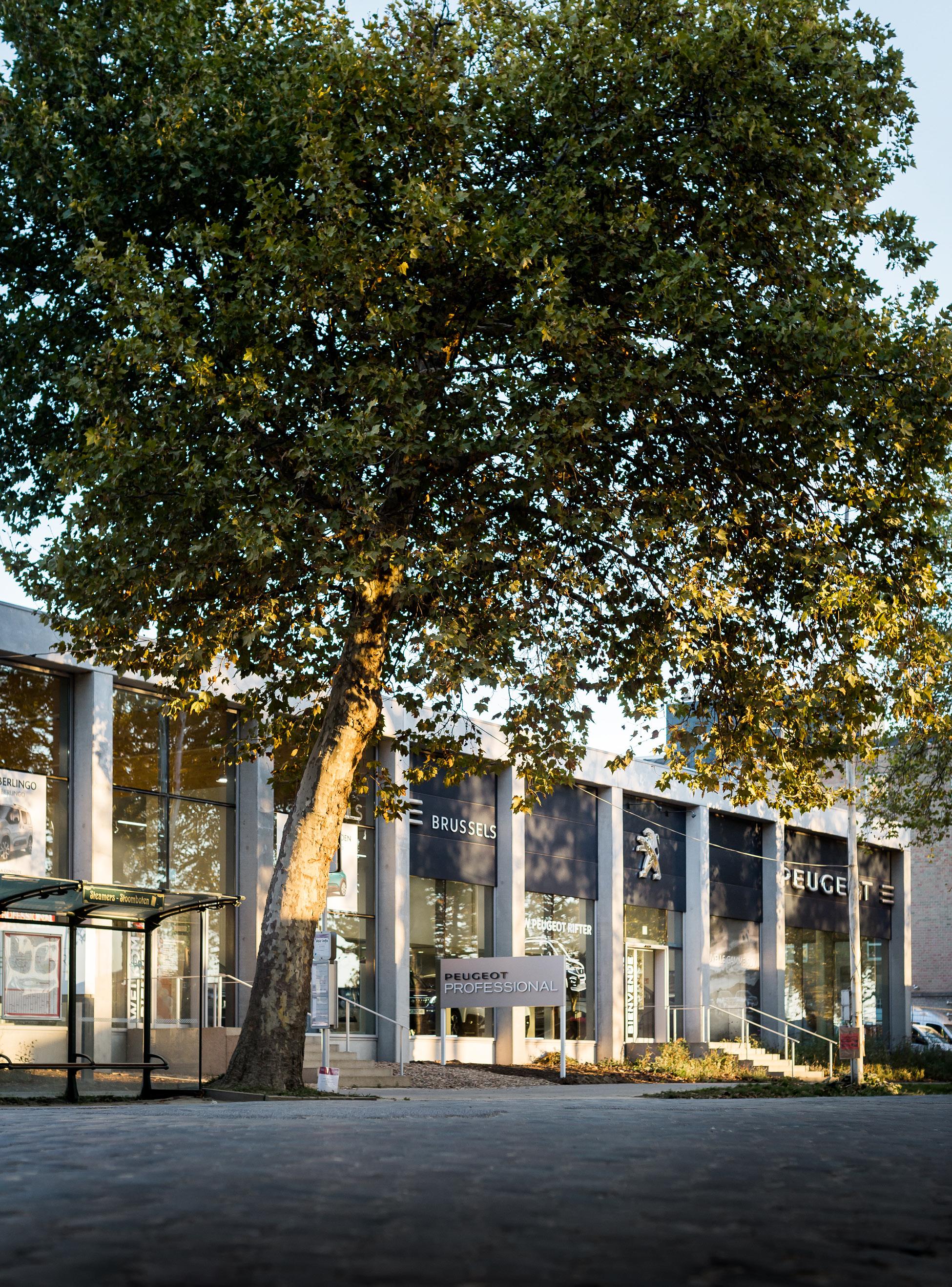 PSA Brussels项目丨比利时丨AID architecten,bureau Bas Smet-14