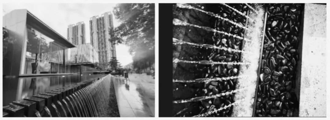 罗朗设计2025湖南项目I长沙植物品控招聘-31