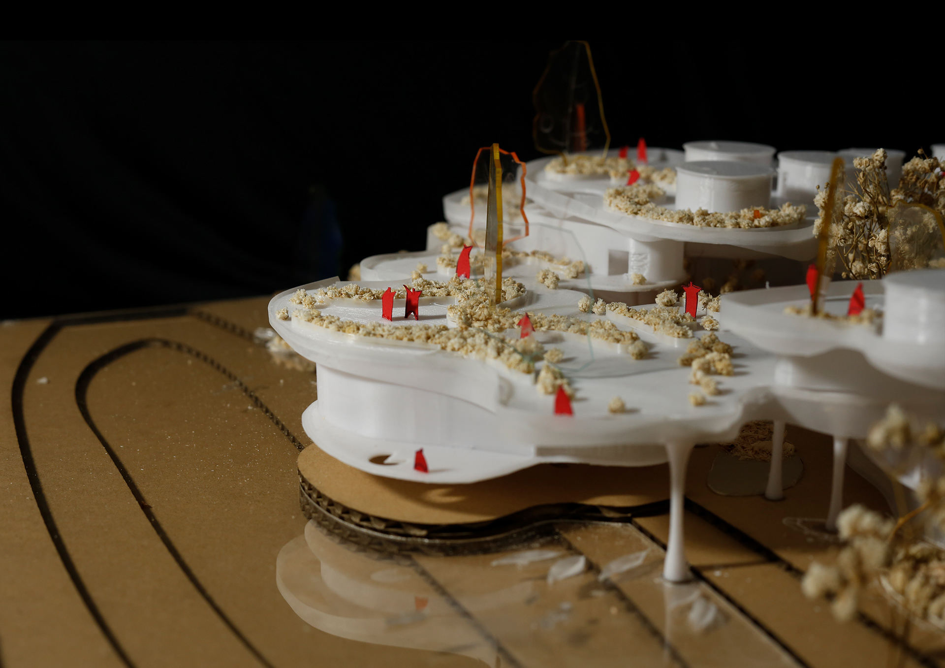 EXHIBITION CENTERS & PROMOTION OF AGRICULTURAL PRODUCTS-22