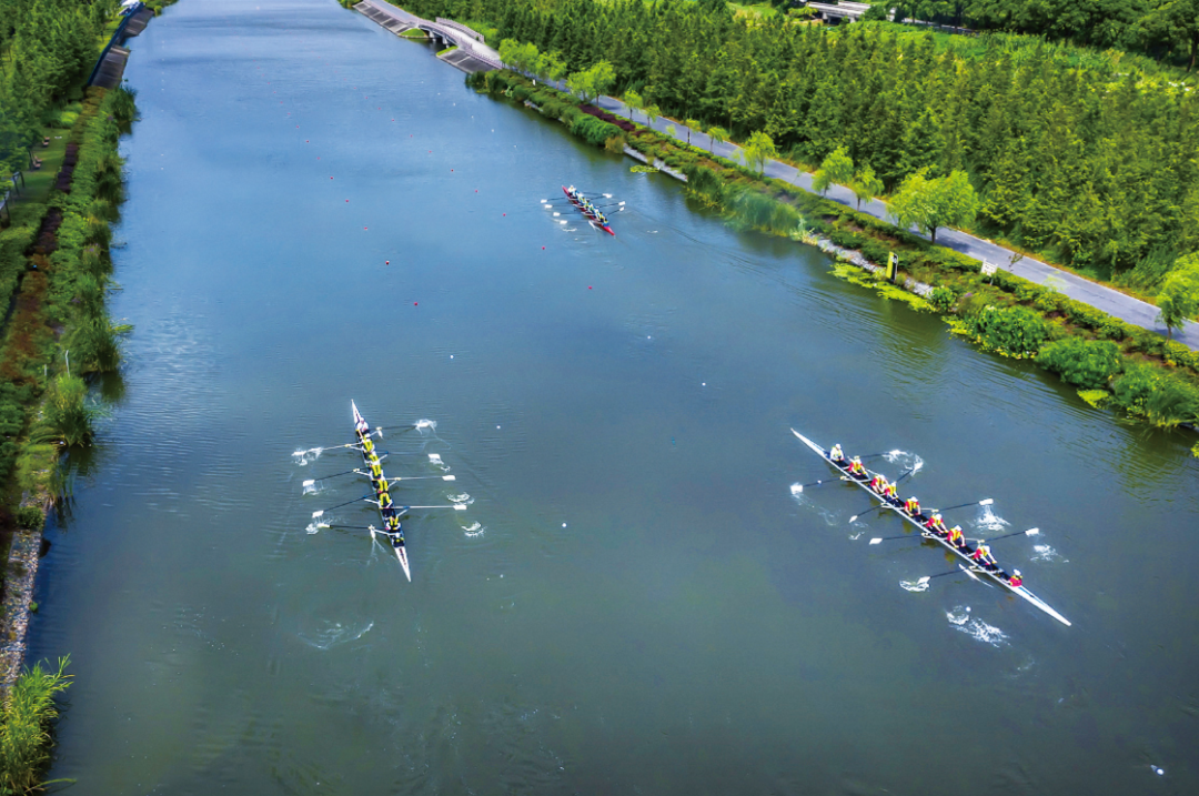 勝地|到公园去探探“动静”！-48