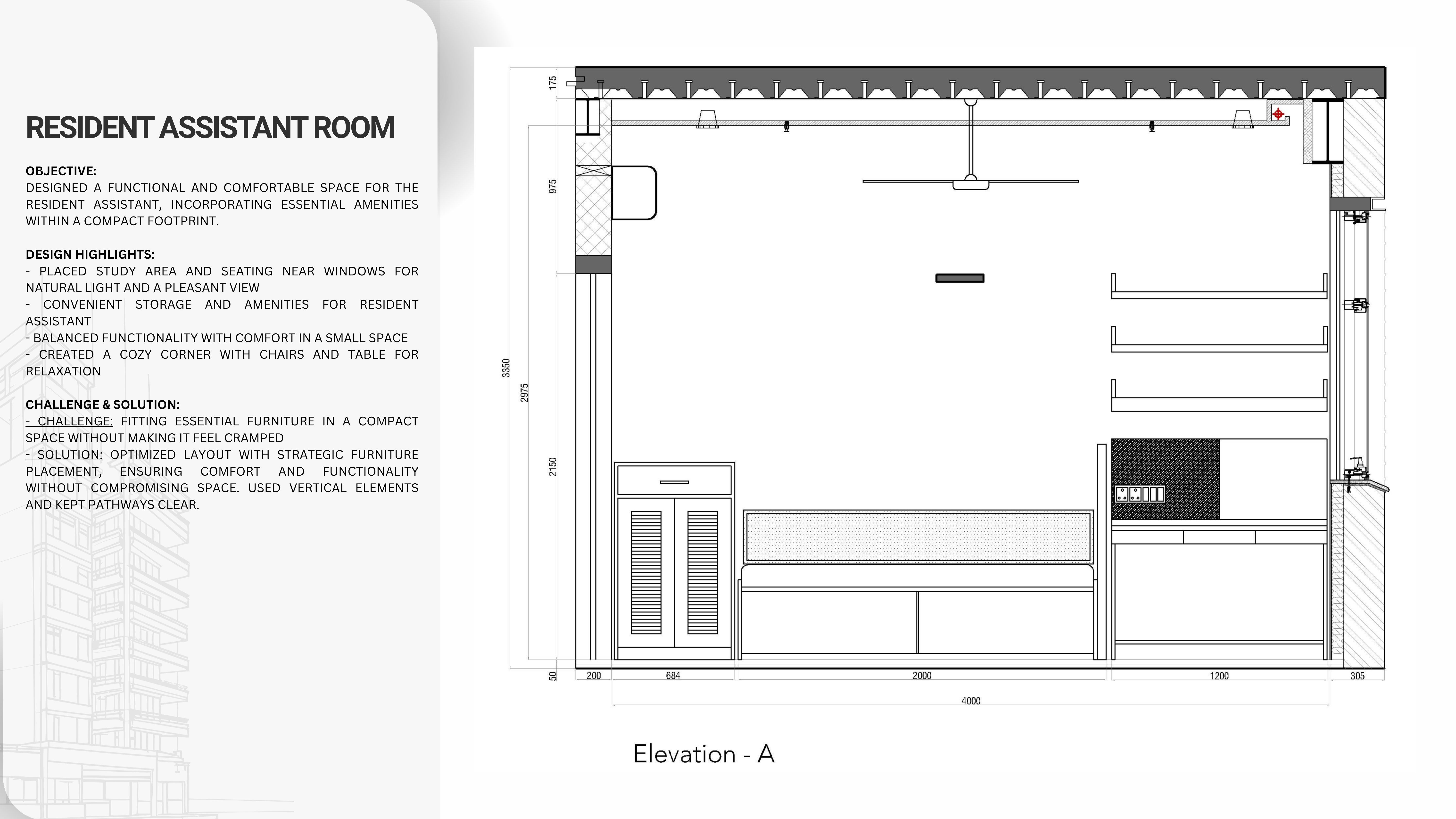 Professional Portfolio-9