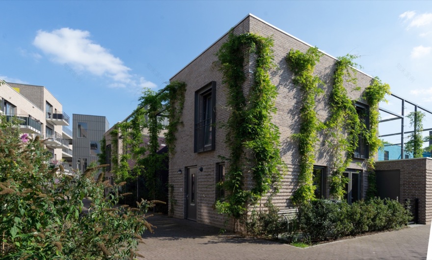 彩色邻里 · 荷兰 Celsius 社区设计-8