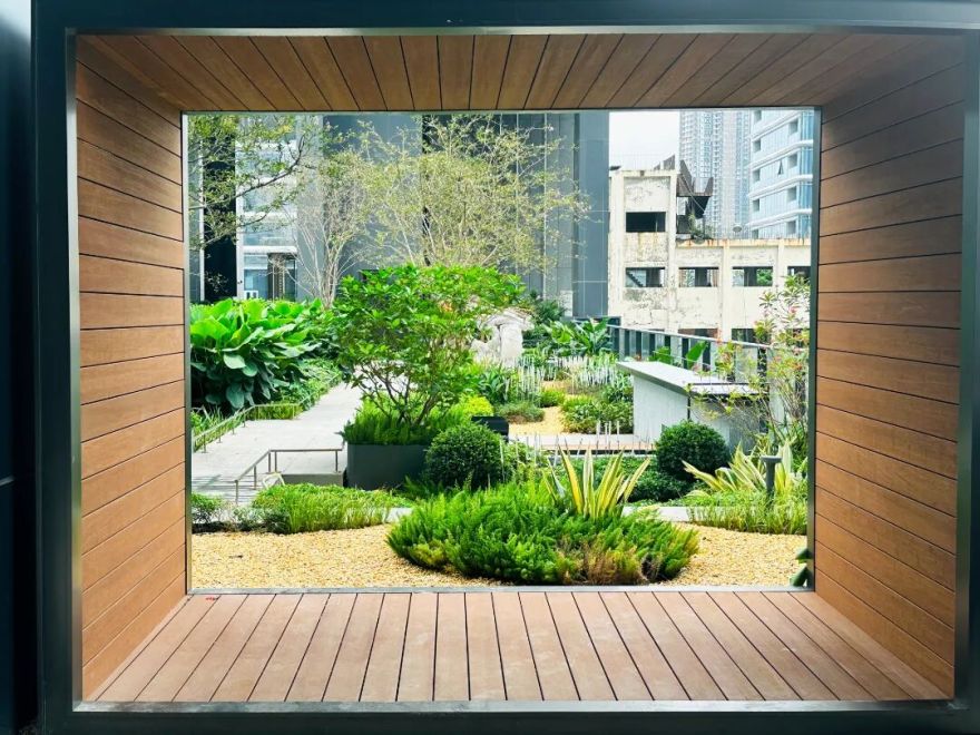 南山中集太子湾大成广场园林景观工程丨中国深圳-30