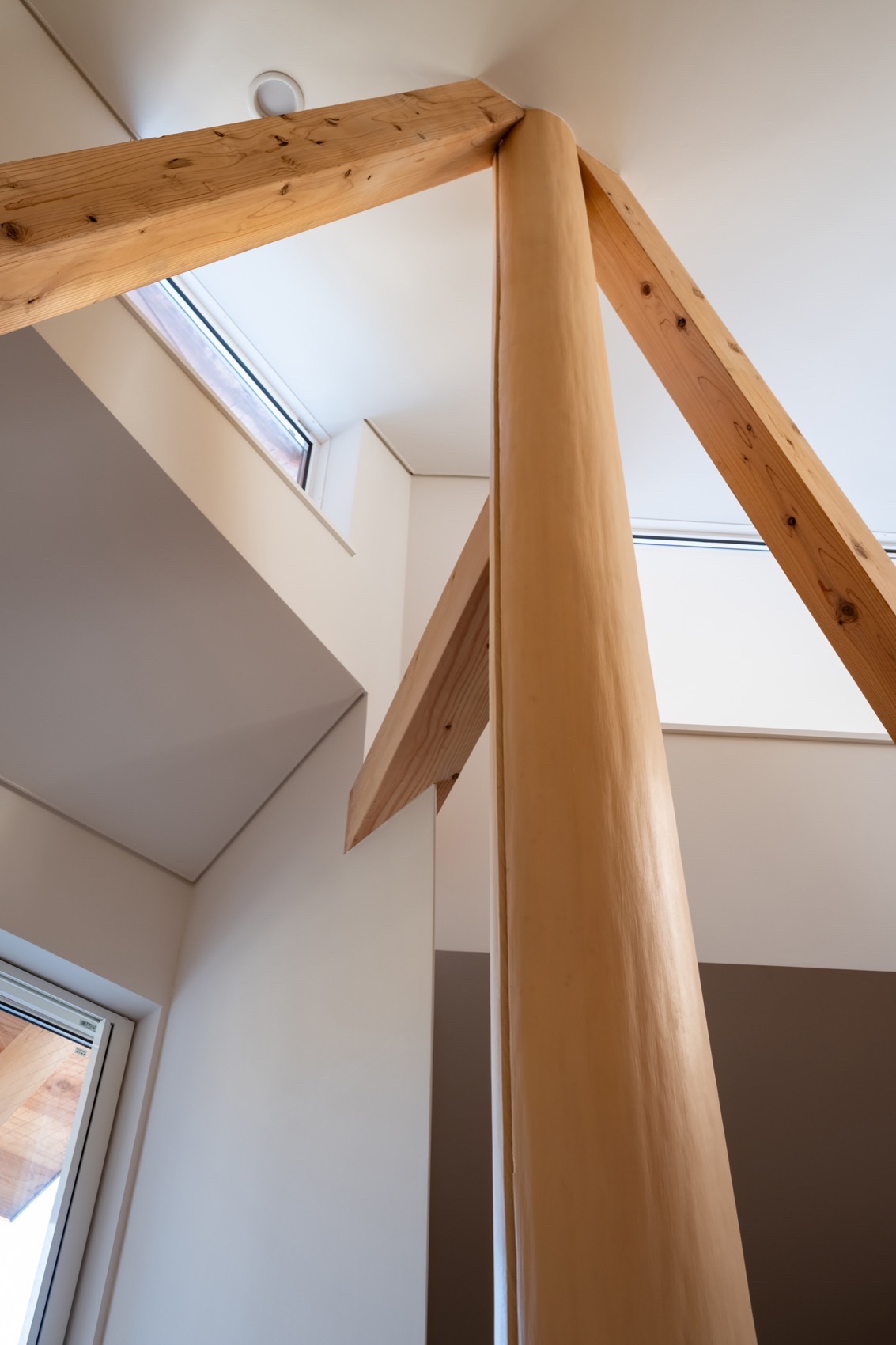 绿色之家丨日本东京丨Shin Aoki & Partners,Shin Aoki-84