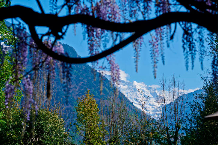 瑞士阿尔卑斯山中的复古花漾木屋-23