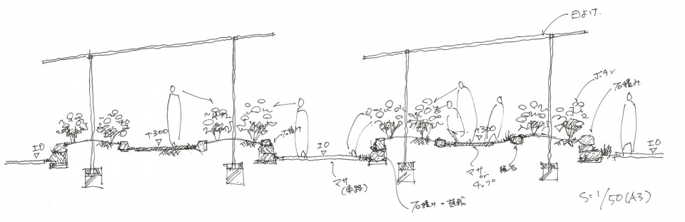 常盤公园牡丹苑翻新设计丨日本丨株式会社户田芳树风景计画-40