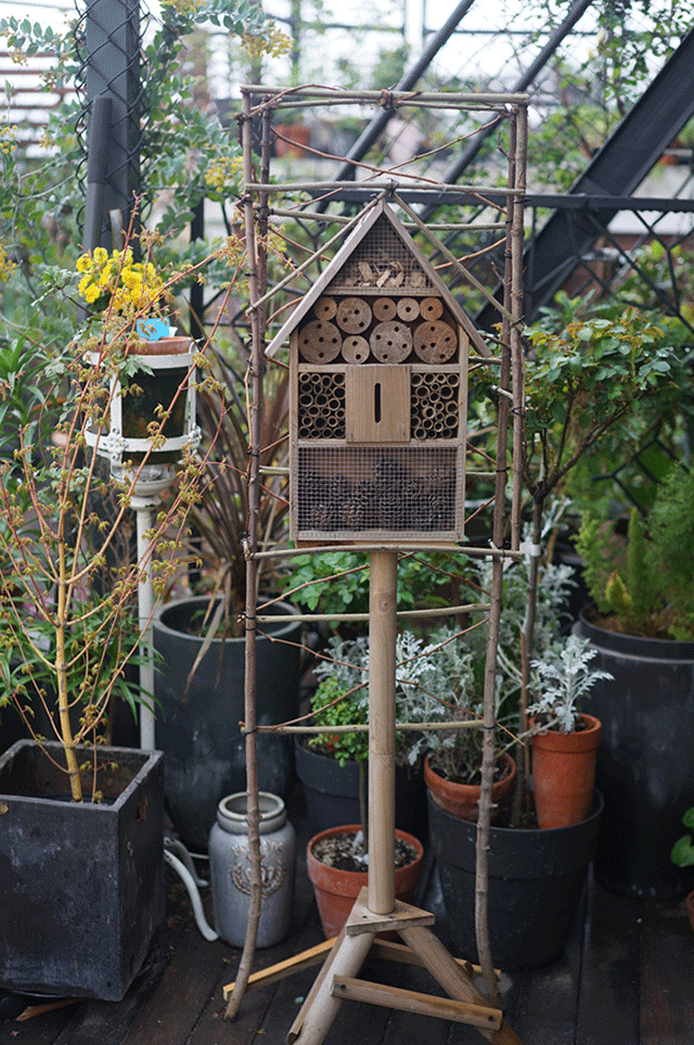 她在楼顶悄悄建了一座梦想花园,美翻了!这才是把日子过成诗的样子-133