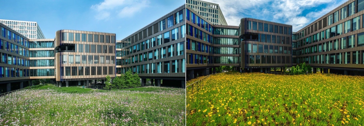 上海创新聚集地 | 天地区域 1 号-2